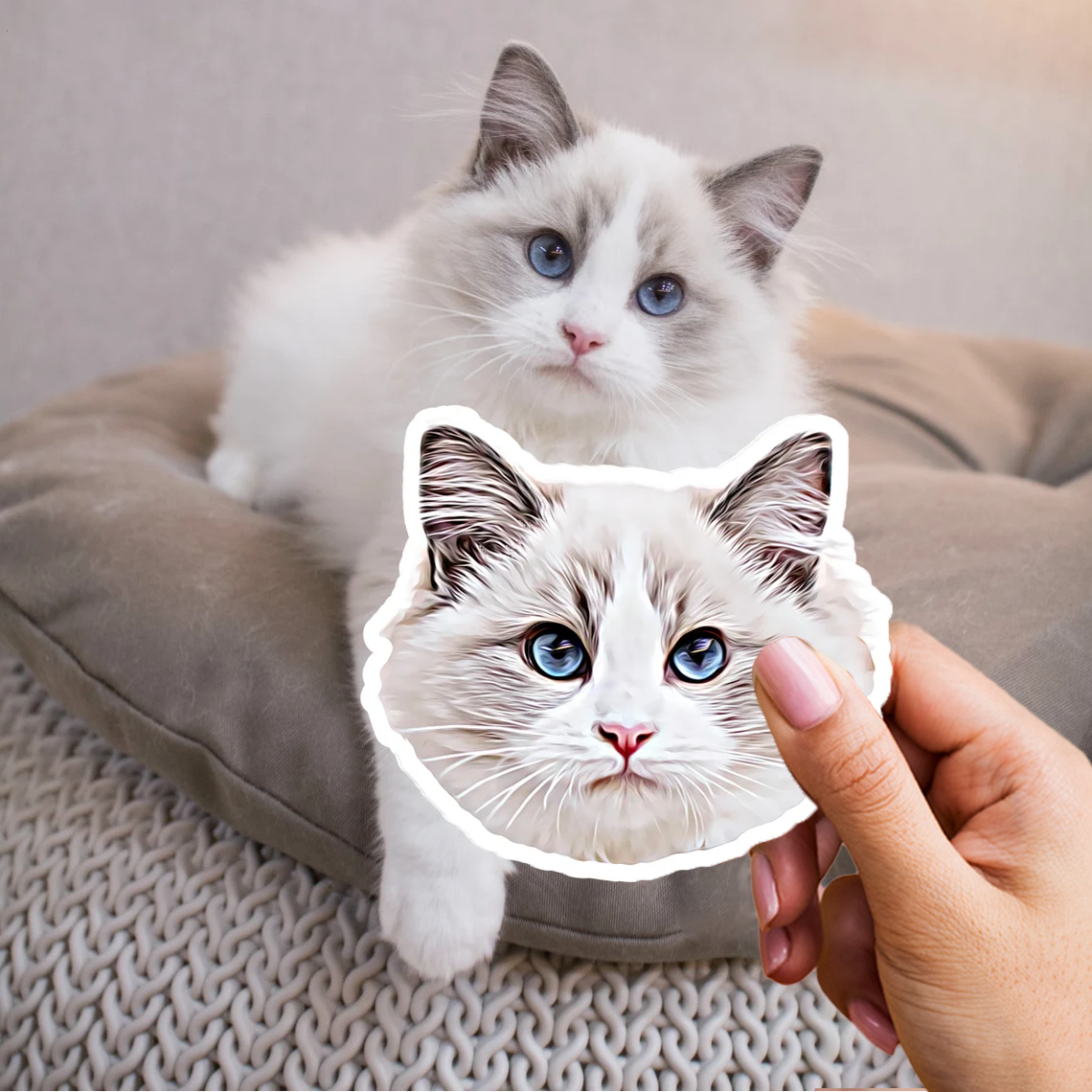 3x Adhesivo personalizado para su mascota