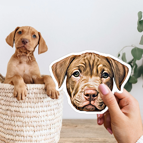 3x autocolante personalizado para o seu animal de estimação
