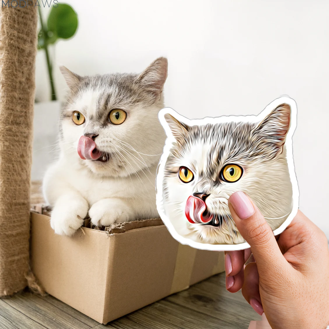 3x Adhesivo personalizado para su mascota